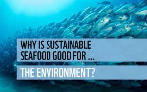 Sustainable Seafood